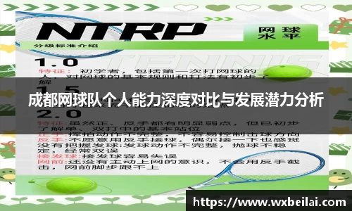 成都网球队个人能力深度对比与发展潜力分析